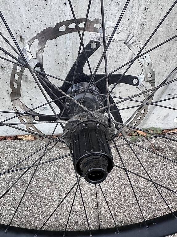 Cerchioni: Hinterrad Felge 29" syncros – Usato da Trin Mulin venduto da bloe01 2