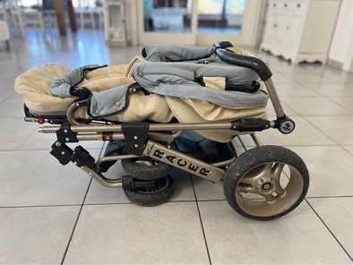Hartan Carrozzine: Kinderwagen Hartan Racer mit Winterfusssack – Usato da Flüh venduto da TradeXpress 2
