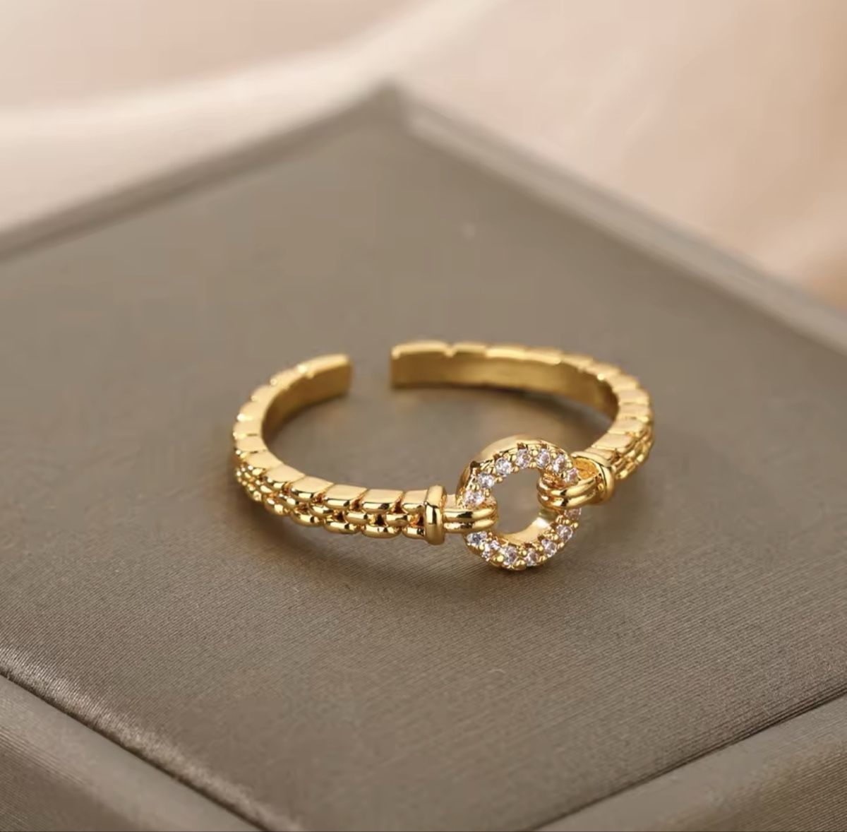 Anelli: Bague en acier inoxydable  – Nuovo e nell'imballaggio originale da Châtel-St-Denis venduto da Montclair_Swiss