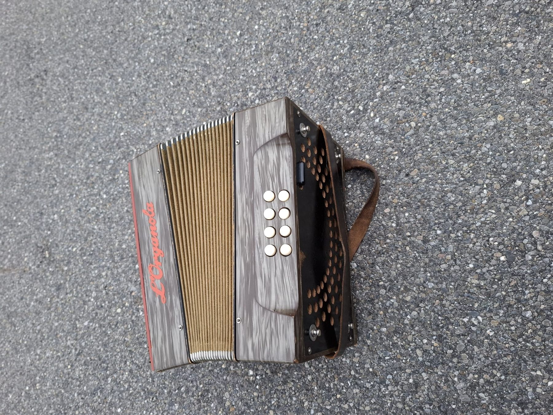 Strumenti musicali: accordéon diatonique 8 basses  – Usato da Pont-de-la-Morge venduto da Mirabelle0 3
