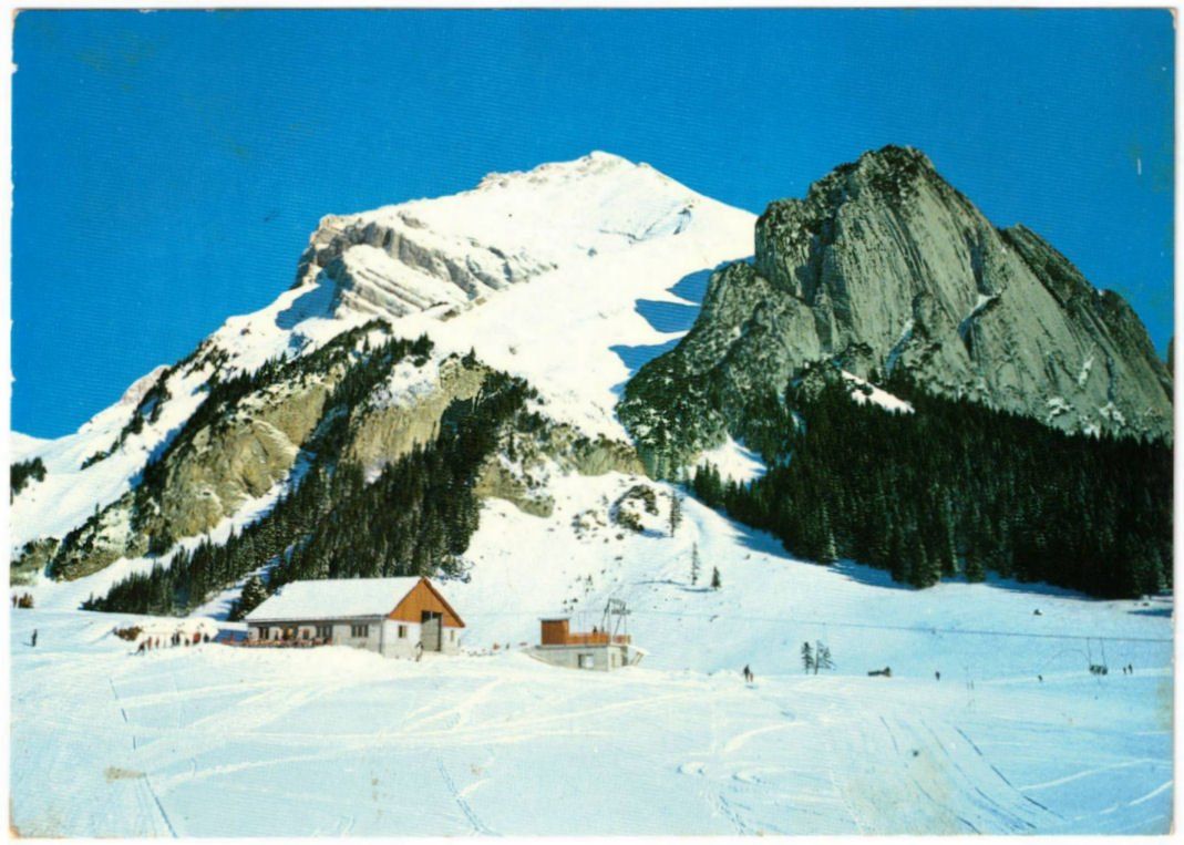 Cartoline postali: Wildhaus - Sessellift – Usato da Binningen venduto da Mountainrider