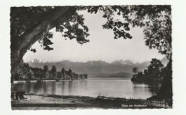 1949, Thun am Aarekanal, Bern, Antike Postkarte