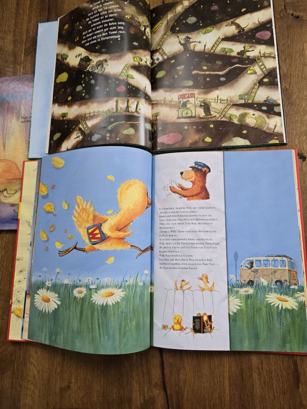Libri: bücher set – Usato da Wittenbach venduto da Tigerlili 5