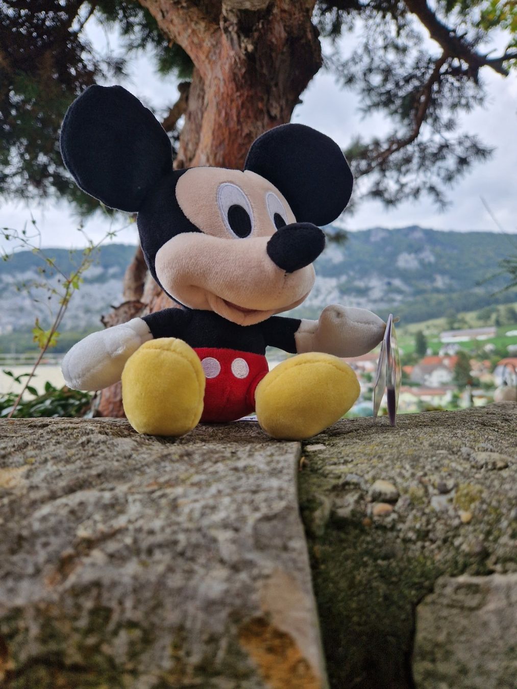 Disney Giocattoli: Plüschtier Mickey,Kinderschutz Spende,NEU – Nuovo (secondo la descrizione) da Siblingen venduto da Vany_McDougall 1