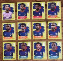 Panini Sticker WM 2026 - Cap Verde