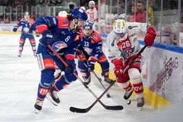 2 Sitzplatz-Tickets für ZSC Lions - SC Rapperswil