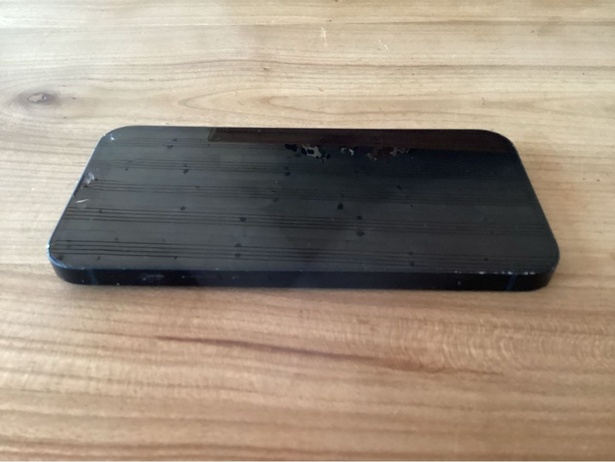 Apple Telefoni cellulari / Smartphones: iPhone 13 Pro 256GB – Usato da Konolfingen venduto da sibi1977 5