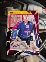 Davide Fadani EHC Kloten 2025/26 Sportzoo Pink