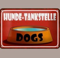 🔥 HUNDE-TANKSTELLE Blechschild 🎀 12x18cm OVP 🔥