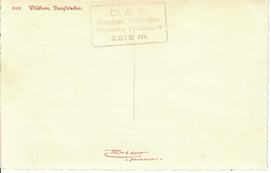 Cartoline postali: Wildhorn - Dungletscher – Usato da Hochdorf venduto da Ziegel-16 1