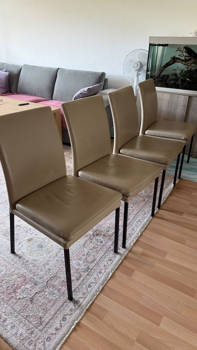 Pfister Chaises: Stüle – D'occasion à Rheinfelden par zilif01 1