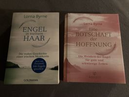 Lorna Byrne Engel in meinem Haar/Eine Botschaft der Hoffnung