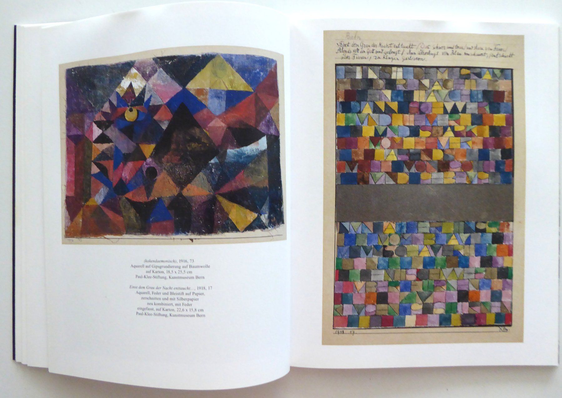 Bücher: Buch Paul Klee 1879-1940 – Gebraucht aus Aesch BL von Kauri1 4