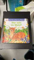 Entdecke den Wald! Pop-Up-Buch für kleine Entdecker