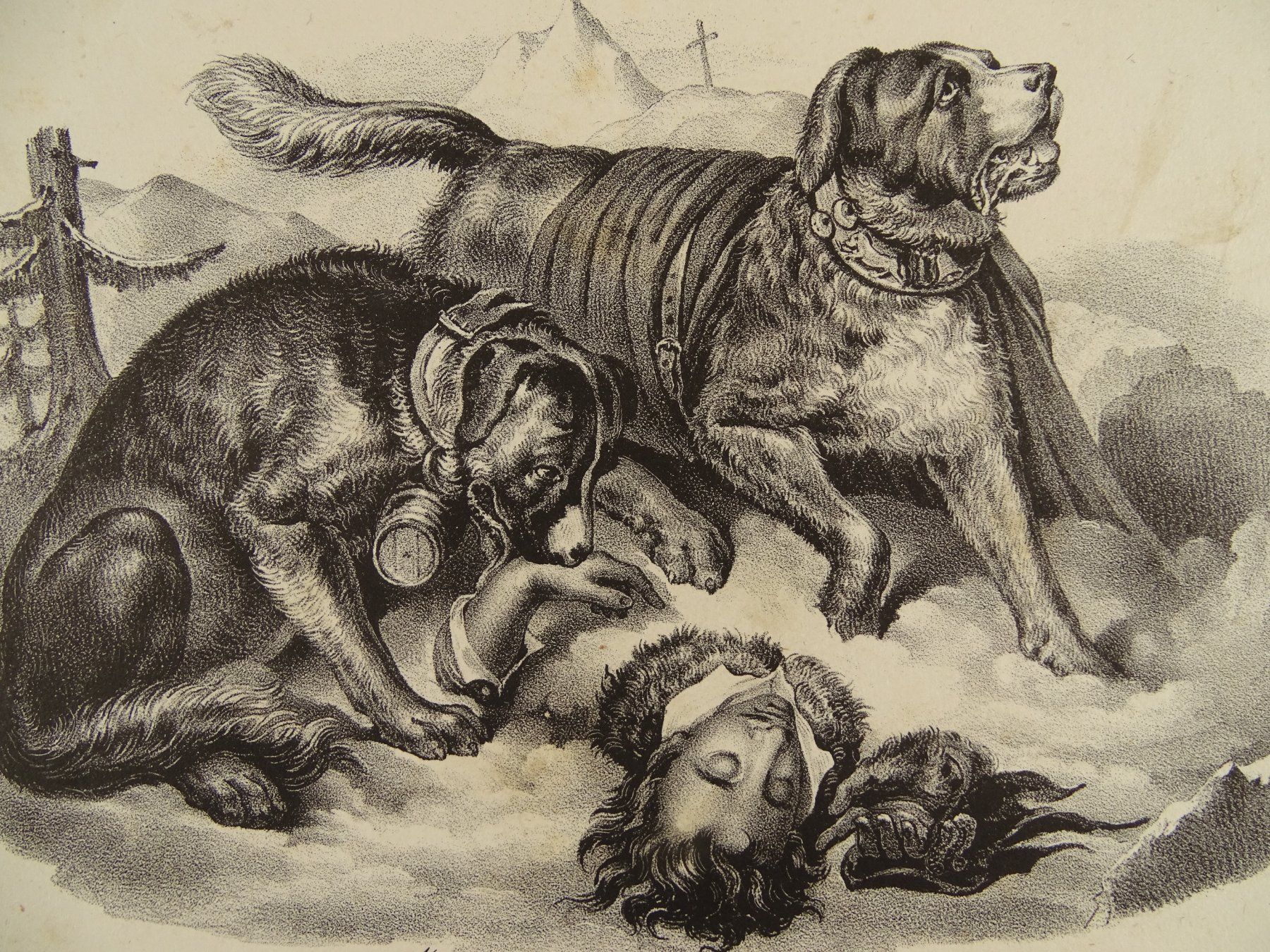 Stiche: BERNHARDINER, LITHOGRAPHIE 1840 – Gebraucht aus Grüningen von Kartensammler 2