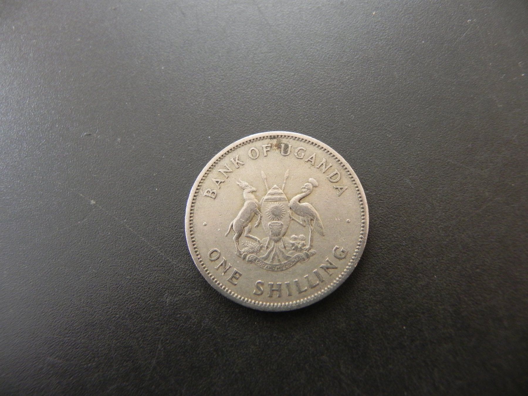 Tutti le monete: Uganda 1 Shilling 1966 – Usato da Biel/Bienne venduto da Gogolozi 1