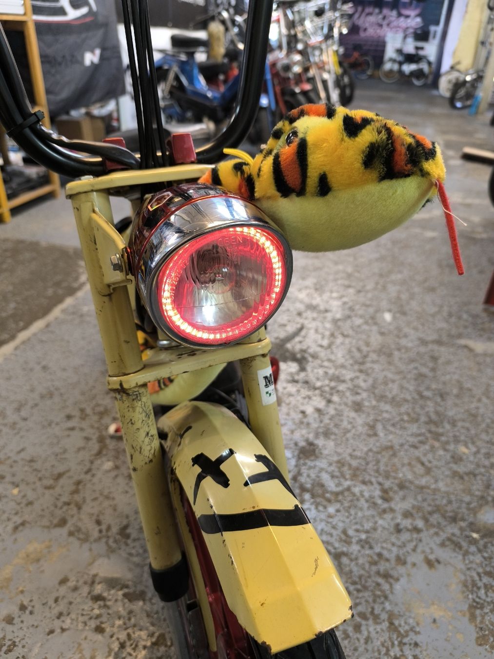 Puch Mofas: Puch Maxi S Custom – Gebraucht aus Münchwilen TG von Denso33 2