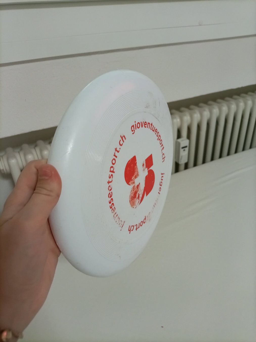 Giocattoli: Fressbee – Usato da Dübendorf venduto da eli_686g