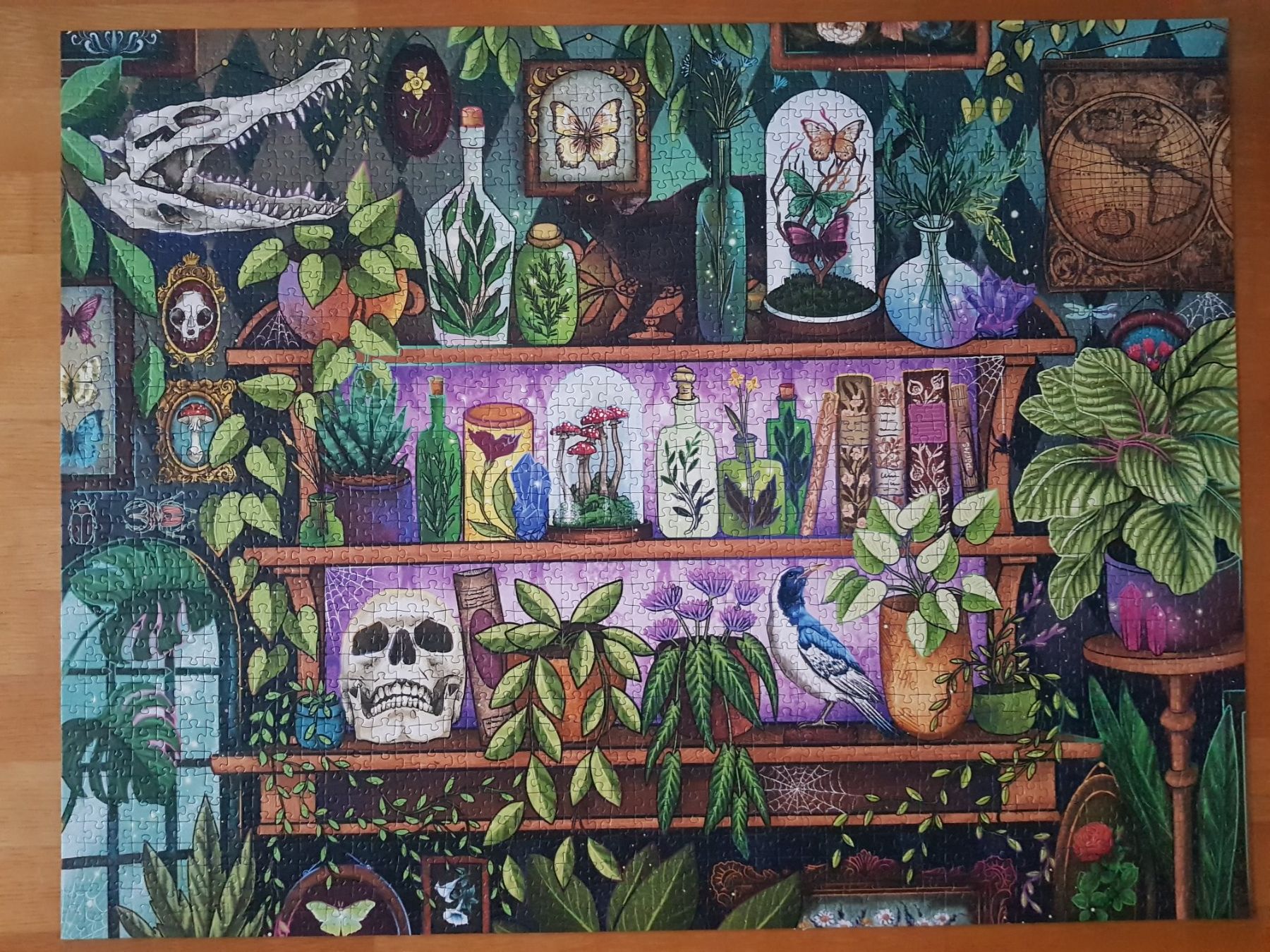 Puzzle: Puzzle von Ravensburger 2000 Teile – Nuovo (secondo la descrizione) da Thalwil venduto da SebastianH01 1