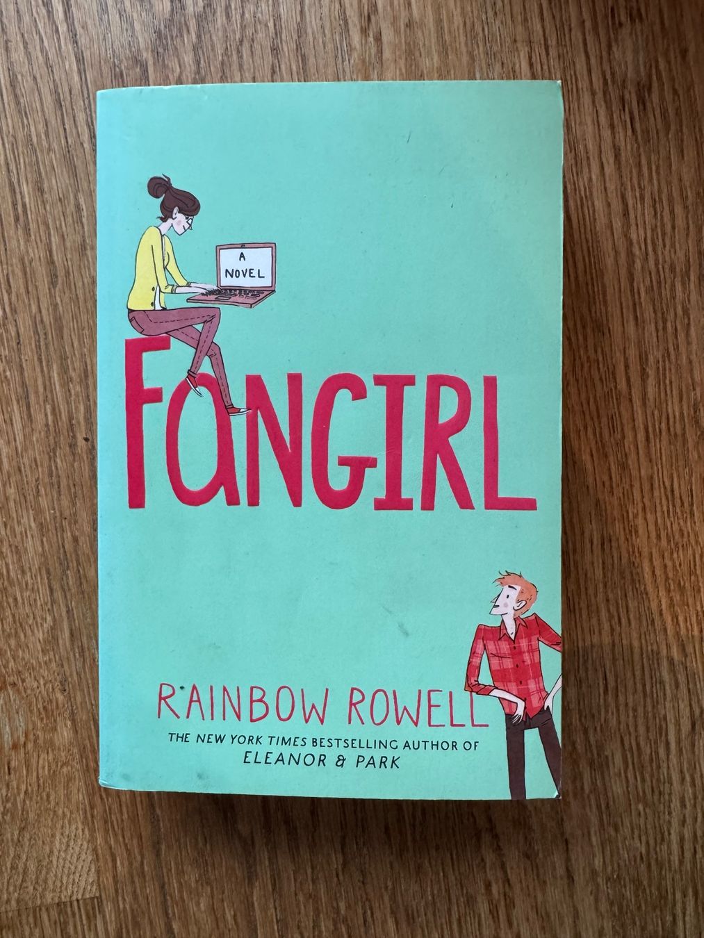 Libri: Buch: Fangirl – Usato da Riedholz venduto da emm_22qn