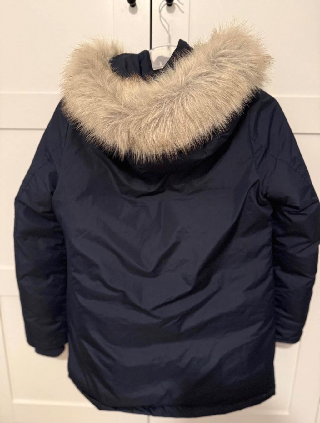 Tommy Hilfiger Giacche: Tommy Hilfiger Winterjacke – Usato da Rudolfstetten venduto da Janiie_ 1
