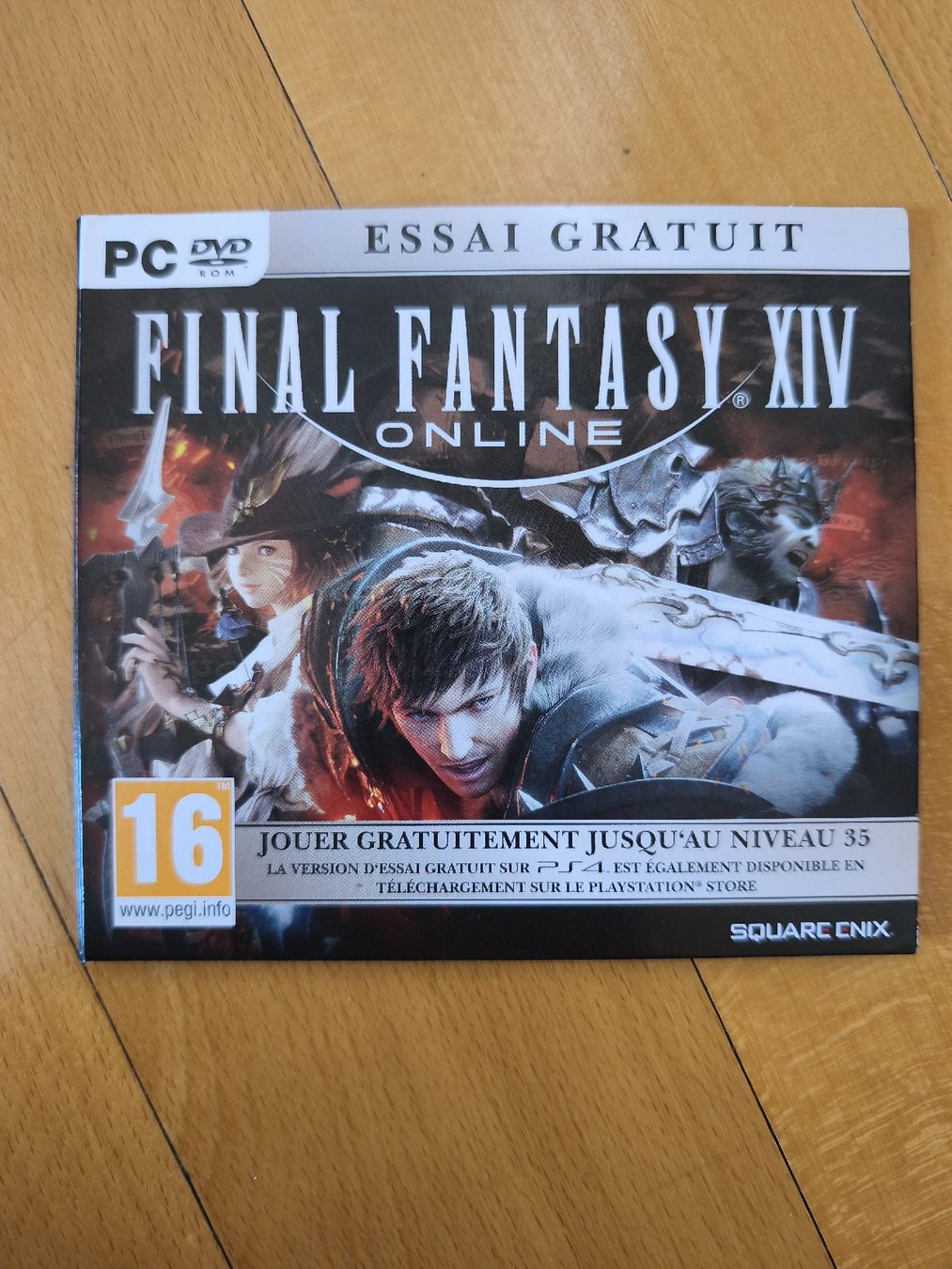 Giochi: Final Fantasy XIV Online PC Game – Usato da Brugg AG venduto da ccoorriinnee