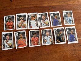 12 stk Coca cola Panini sticker 