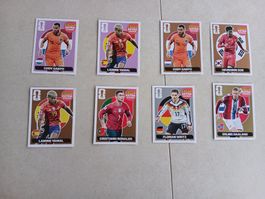 Panini Extra Sticker