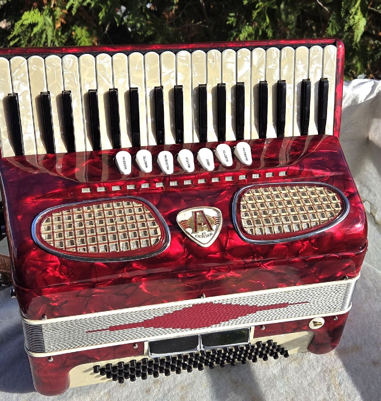 Excelsior Instruments de musique: Accordéon Excelsior  – D'occasion à Penthalaz par EvandroLuz
