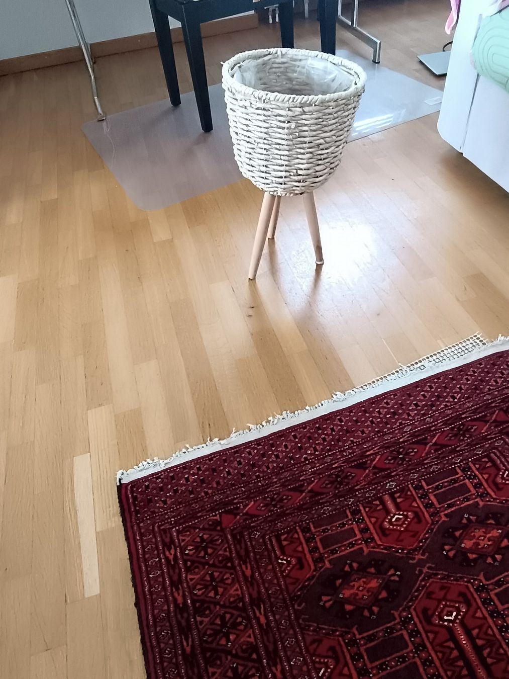 Altro per la casa: Trendiger Pflanzenständer – Usato da Dübendorf venduto da phoebe013 3