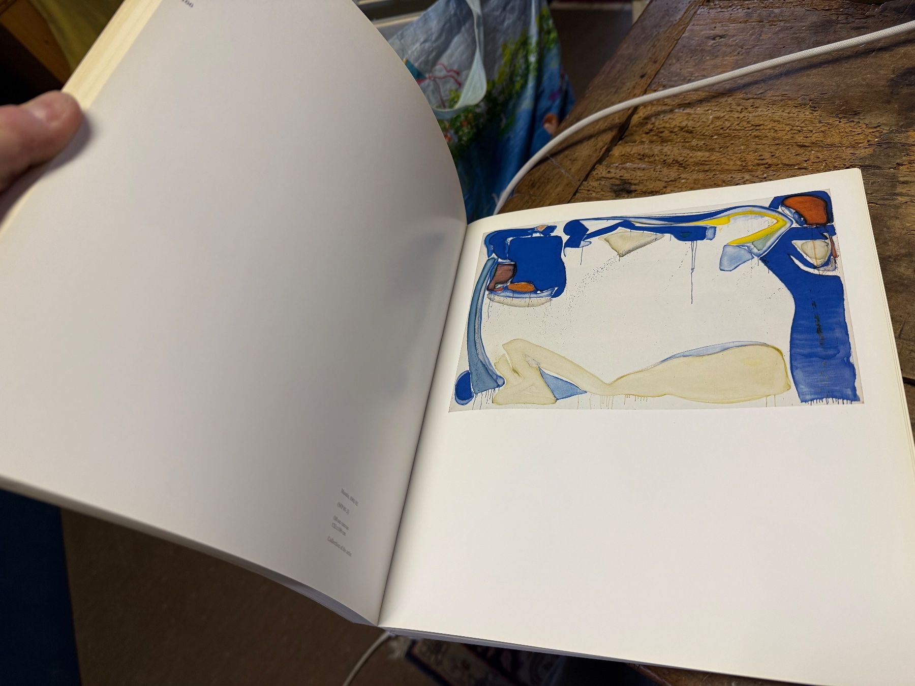 Libri: Sam FRANCIS – Usato da Bern venduto da Jwpm66 4