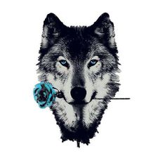 Profile image of Sav_12rxg
