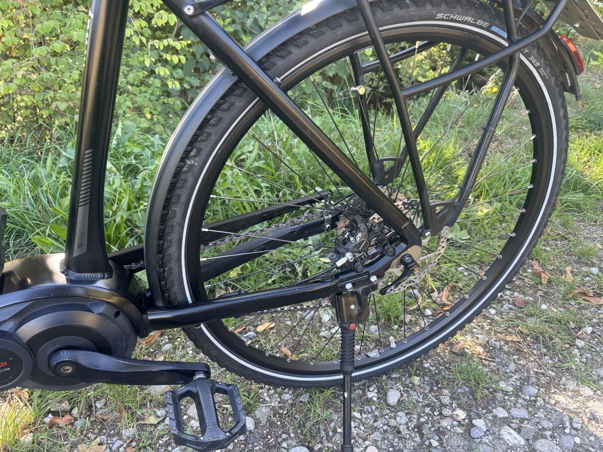 Flyer Biciclette: Flyer Bosch Motor 45 Km/h  – Usato da Kleindietwil venduto da her_d77z 5