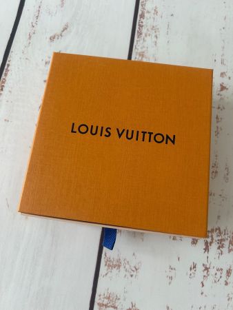 Box Schachtel Louis Vuitton