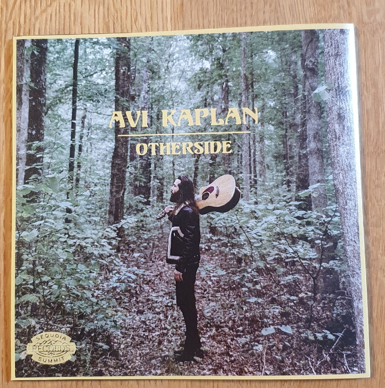 Dischi in vinile: Avi Kaplan - Otherside / Change on the Rise Schallplatte – Nuovo (secondo la descrizione) da Zofingen venduto da Sammelsurium92