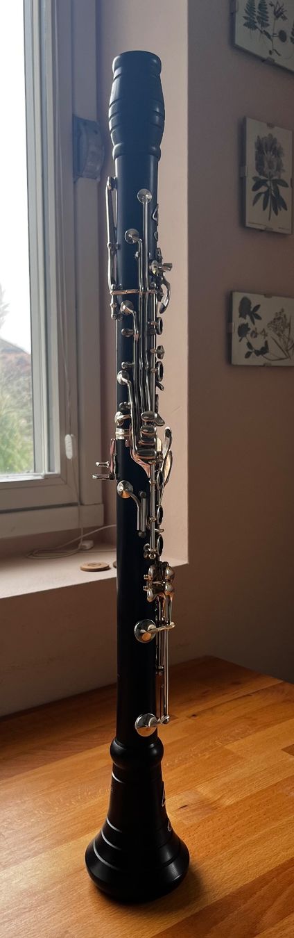 Instruments de musique: Clarinette Sib Ripa 925 Solid Silver – D'occasion à Bern par han_rv6s 4