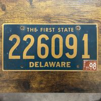 🇺🇸 U.S. Autoschild, Delaware 226091 - ORIGINAL 