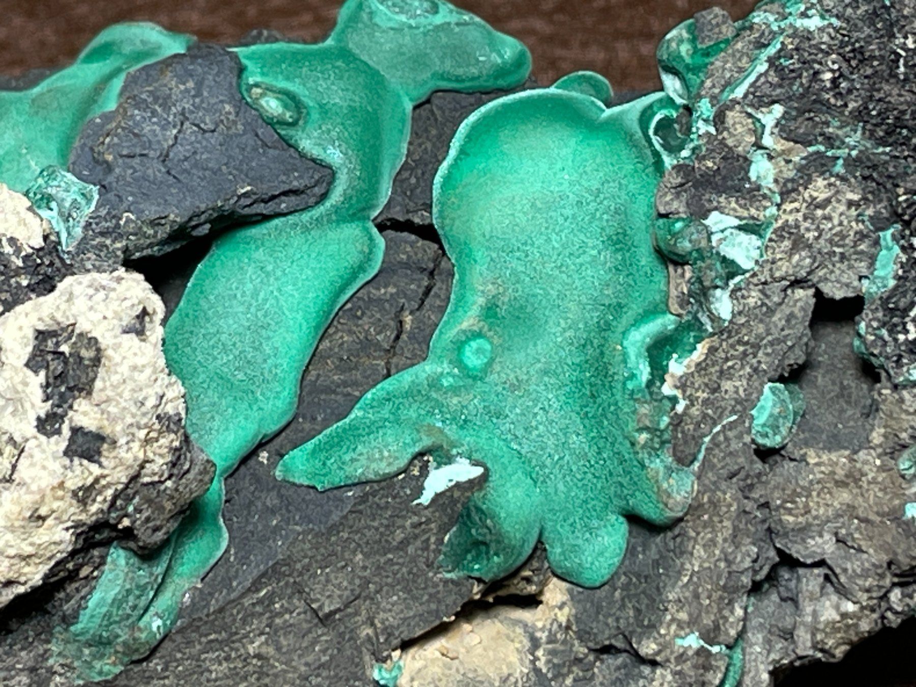 Mineralien & Heilsteine: Malachite – Neu (gemäss Beschreibung) aus Cernier von Tashi_Delek