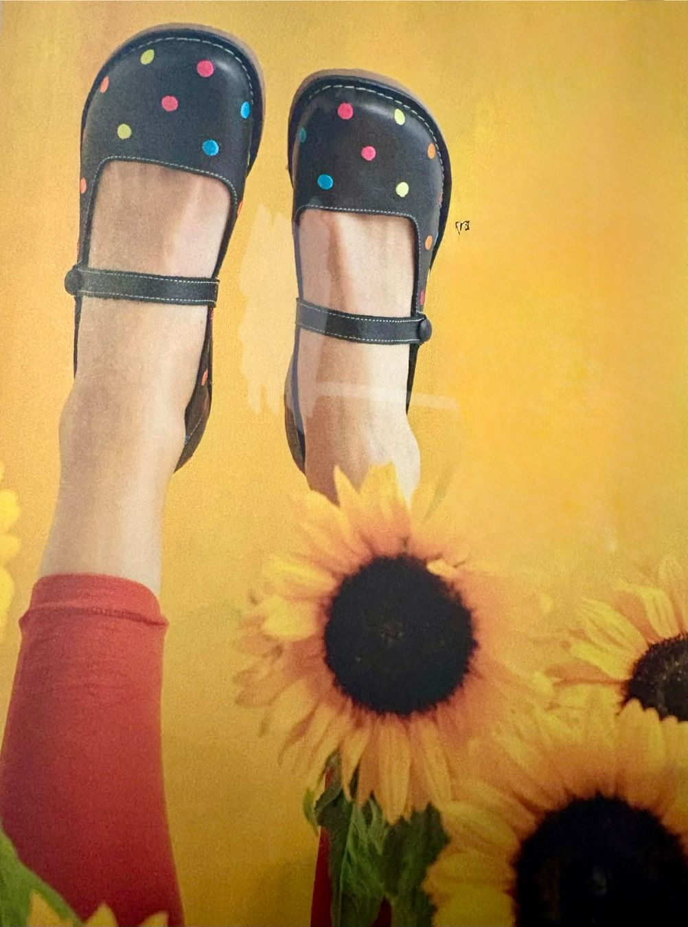 Gudrun Sjöden Damenschuhe: Gudrun Sjöden Ballerinas: Leder bestickt, schwarz, Grösse 40 – Gebraucht aus Rikon im Tösstal von miarosen