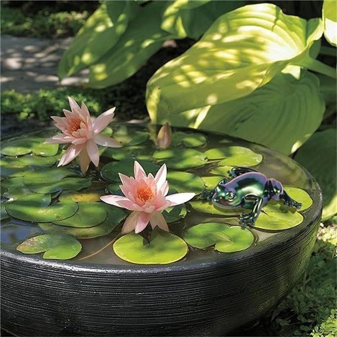 Teglie da forno: Giessform Silikonform Tiere Frosch 10 cm – Nuovo e nell'imballaggio originale da Kaltbrunn venduto da schere-stein-papier 2
