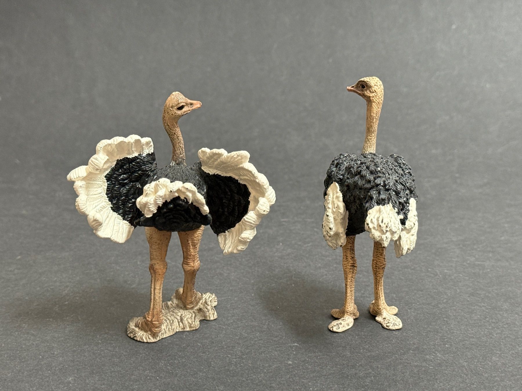 Schleich Statuette: Schleich Strauss Straussenmännchen – Usato da Ennetbaden venduto da mapa05 1