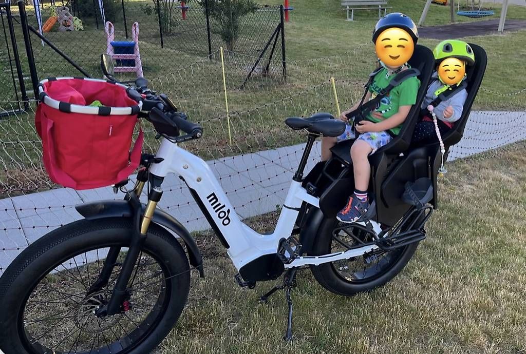 Biciclette: Miloo Beast Cargo - vélo électrique longtail – Usato da Corminboeuf venduto da martyfew