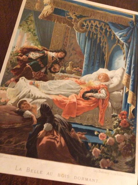 Grafica & Litografie: Chromo - La Belle au Bois Dormant – Usato da Genève venduto da edelweiss1900 2