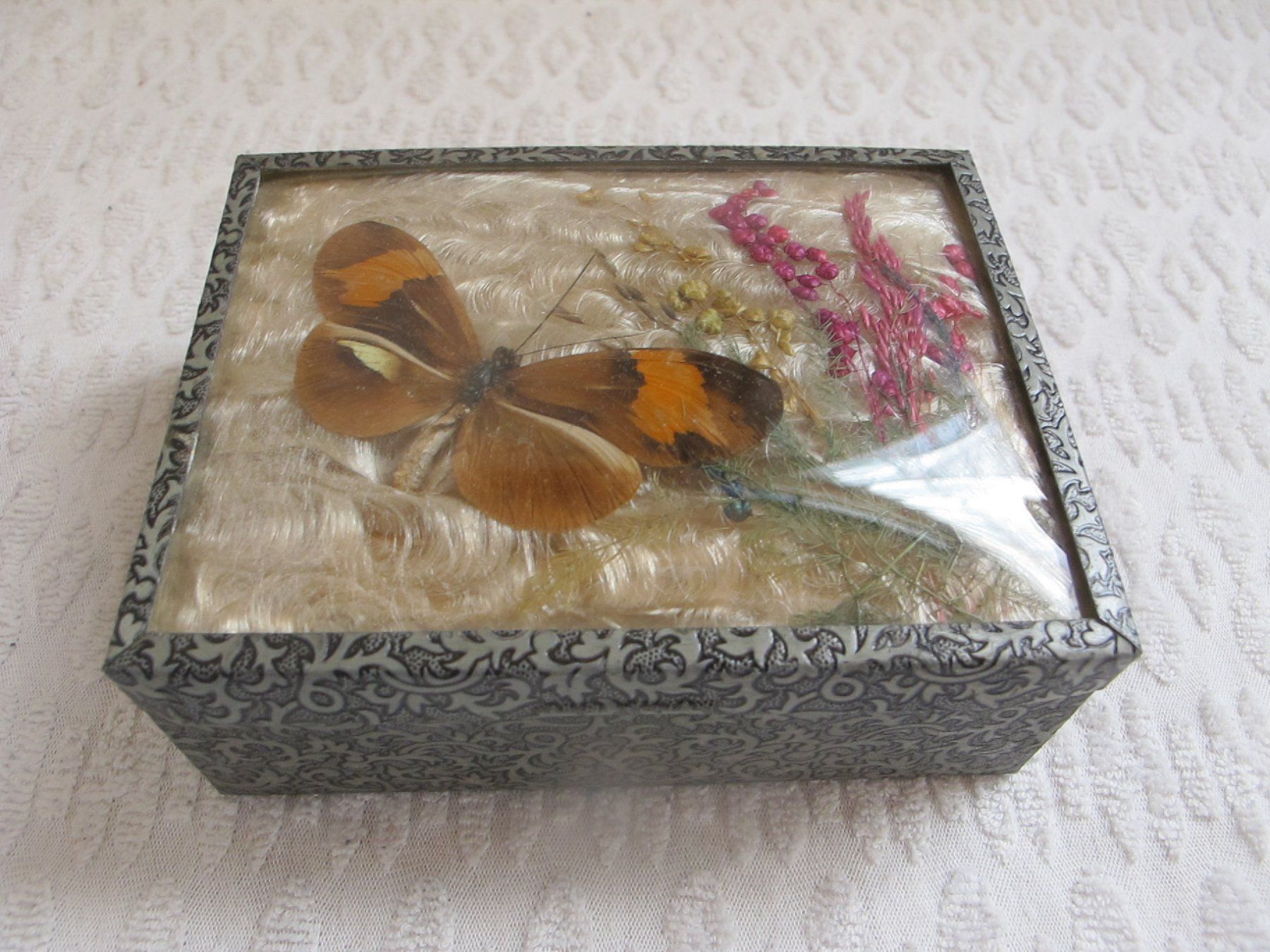 Pots: SCHATULLE MIT ECHTEM SCHMETTERLING VINTAGE – D'occasion à Löhningen par Chimae67