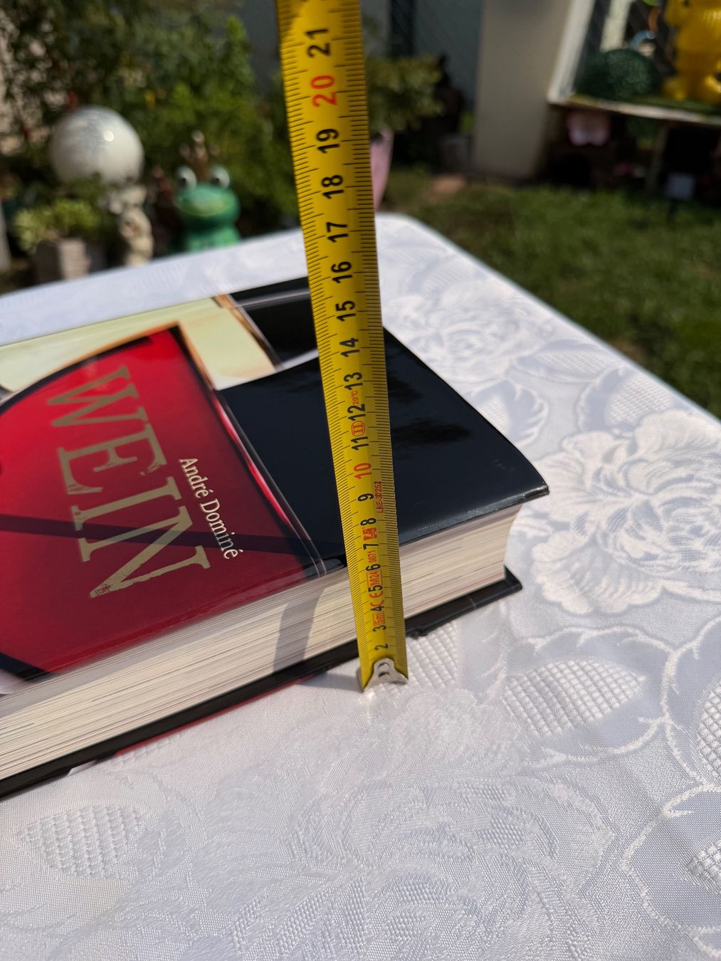 Livres: Grosse Buch "Wein" top zustand – D'occasion à Cugnasco par tizianaq 8