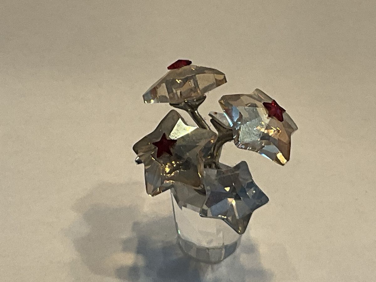 Swarovski Figuren: *Swarovski Weihnachtsstern – Neu (gemäss Beschreibung) aus Oberglatt ZH von Multimix 1