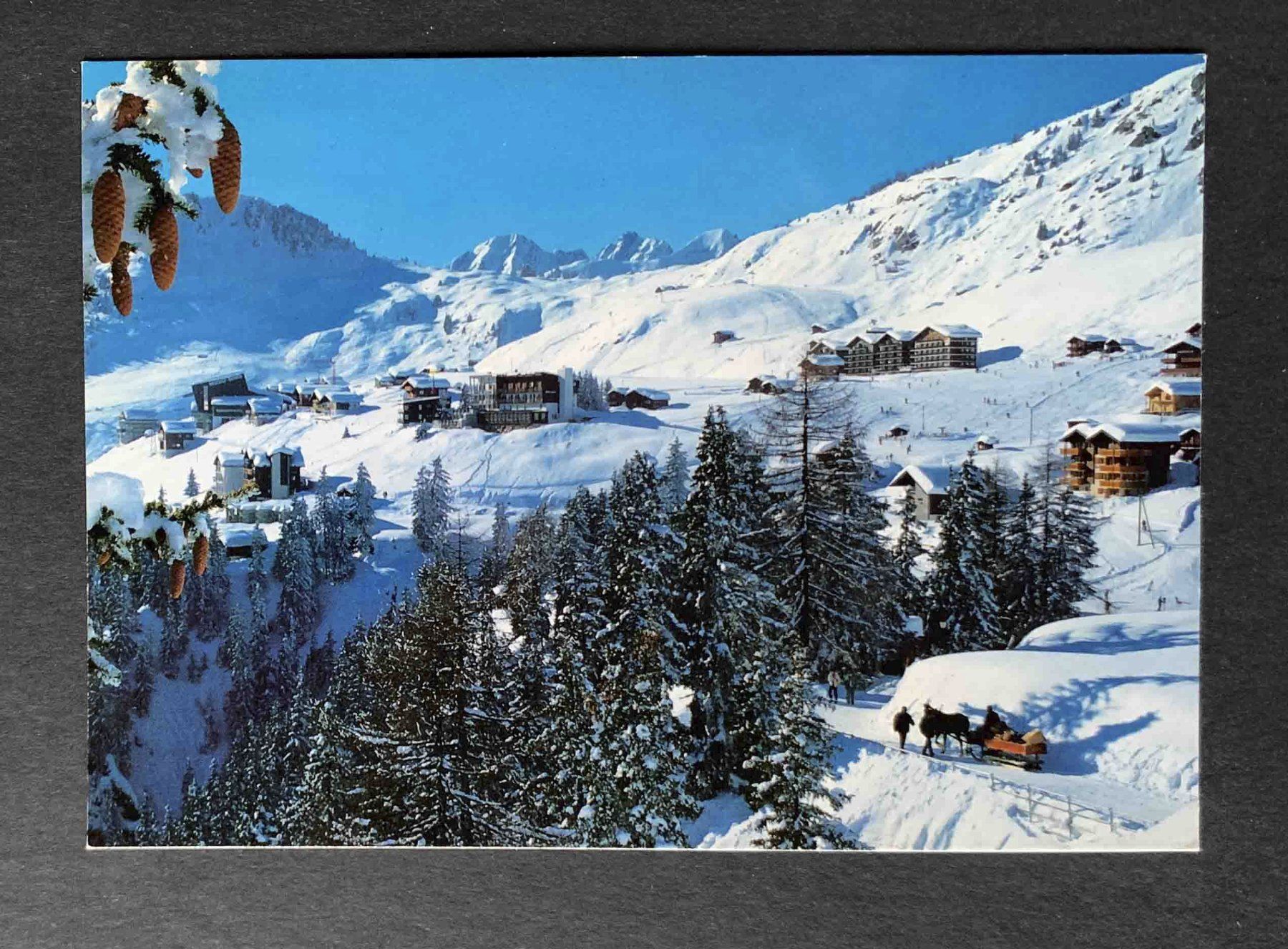 Ansichtskarten: AK Riederalp Wallis – Gebraucht aus Goldau von artelier1