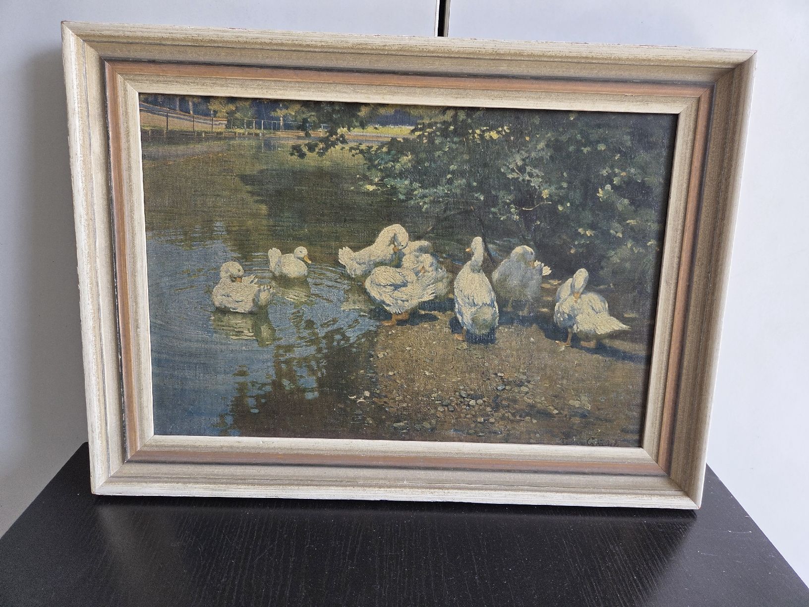 Foto & Immagini: Gänsebild – Usato da Dietwil venduto da mb54