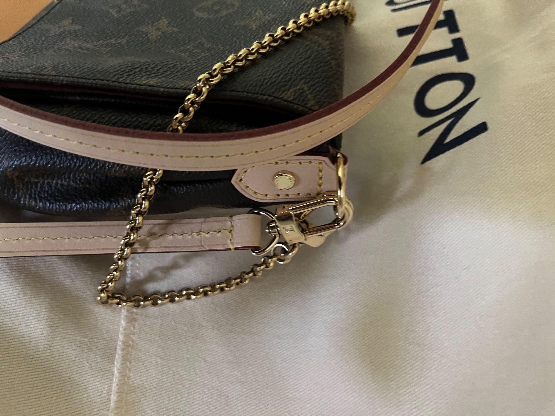 Louis Vuitton Borse da donna: Louis Vuitton Favorite MM – Usato da Metzerlen venduto da DG71 5