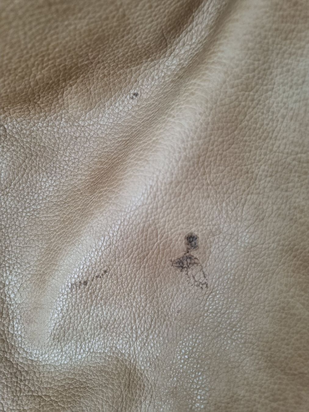 Liebeskind Taschen für Damen: LIEBESKIND Tasche Leder – Gebraucht aus Wolfwil von s.ara_c 2